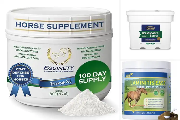 Detailed view of Best 100% Natural Hoof Supplements