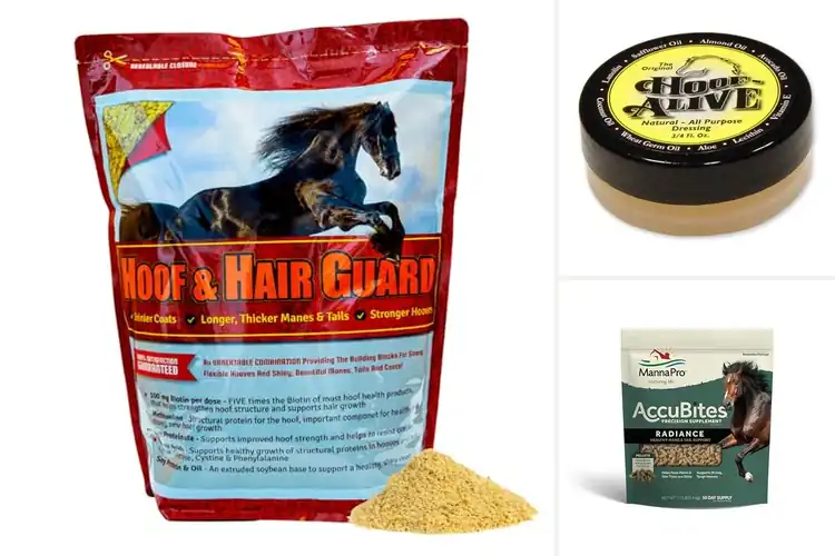 Detailed view of Best 100 Percent Natural Hoof Health Supplement