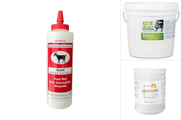 Detailed view of Best 100 Percent Natural Hoof Powder