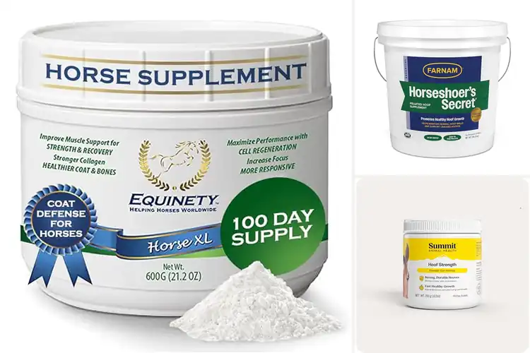 Detailed view of Best Amino Acid Hoof Supplements For Hoof Conditioning