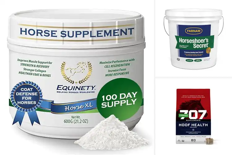 Detailed view of Best Amino Acid Hoof Supplements For Horses