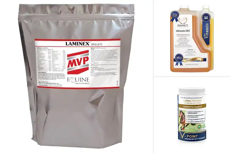 Detailed view of Best Antioxidant Hoof Supplement: Stronger Hooves