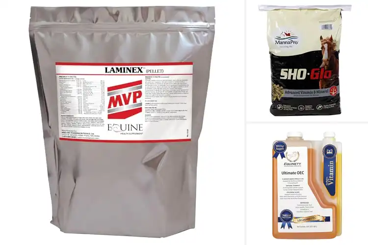 Detailed view of Best Antioxidant Hoof Support Supplements