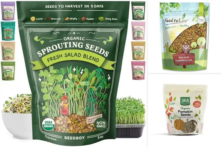 Detailed view of Best Antioxidant Seeds