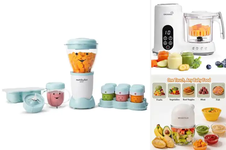 Detailed view of Best Baby Food Mixers