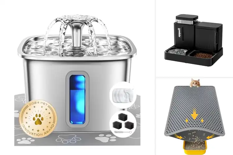 Detailed view of Best Cat Accessories for Happier, Easier Pet Care