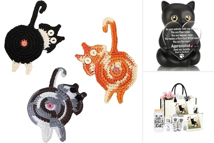 Detailed view of Best Cat Lover Gift Decorations