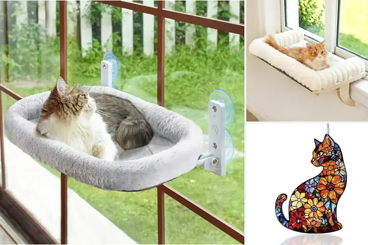 Detailed view of Best Cat Window Hangings: 10 Purr-fect Picks for Happy Cats