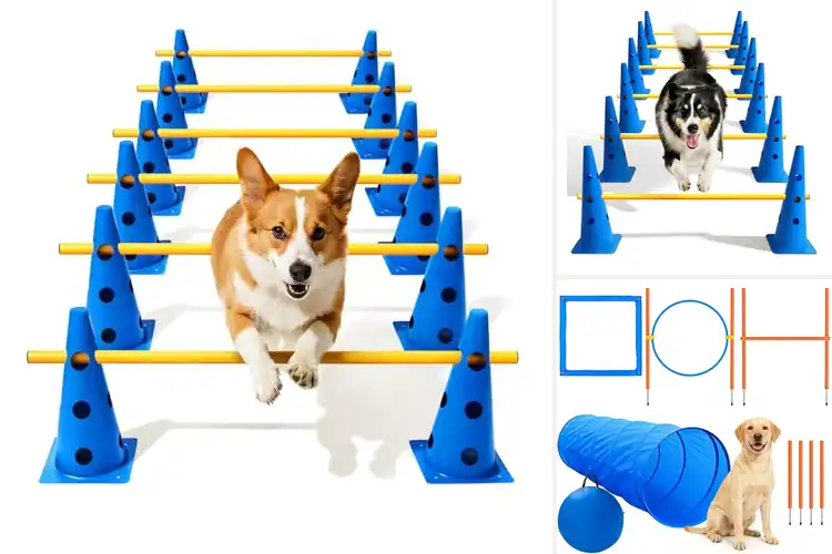 Detailed view of Best Dog Agility Training Sets: Top 10 Picks for Active Pups