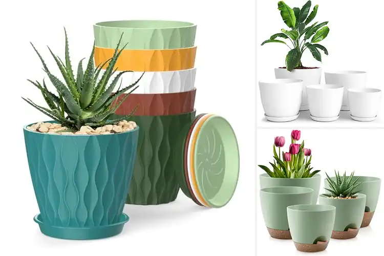 Detailed view of Best Drainage Planters
