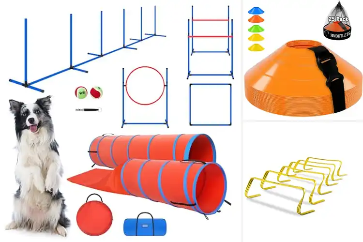 Detailed view of Best Durable Agility Courses