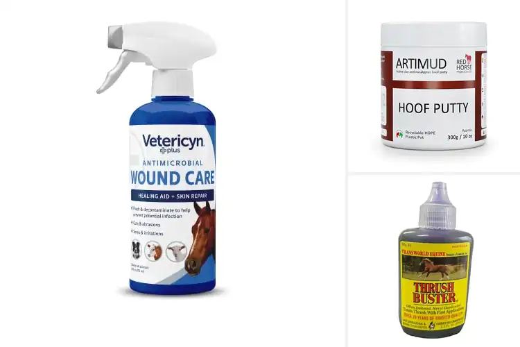 Detailed view of Best Equine Care Products