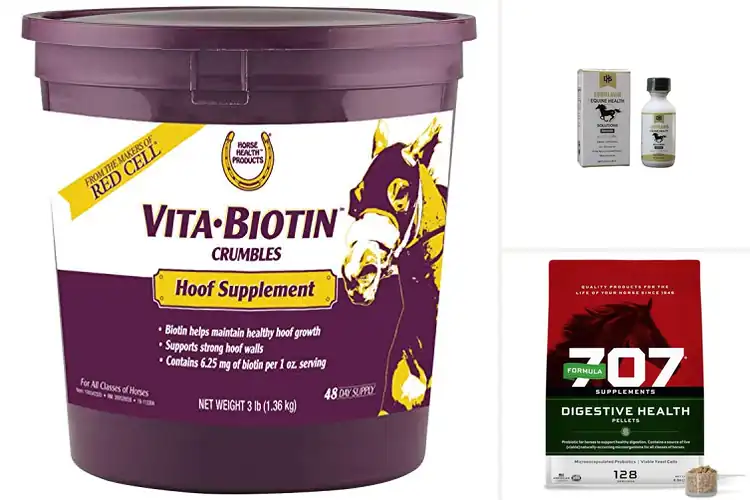 Detailed view of Best Equine Health Products: Top Picks for a Thriving Horse
