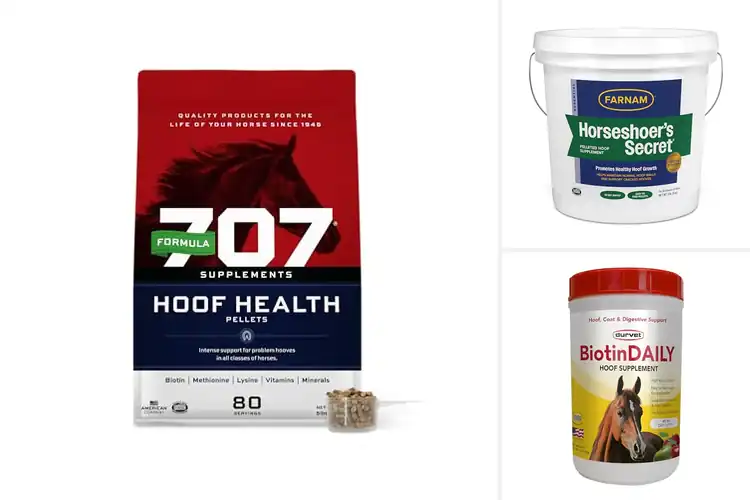 Detailed view of Best Equine Hoof Care Supplements
