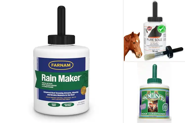 Detailed view of Best Equine Hoof Conditioners