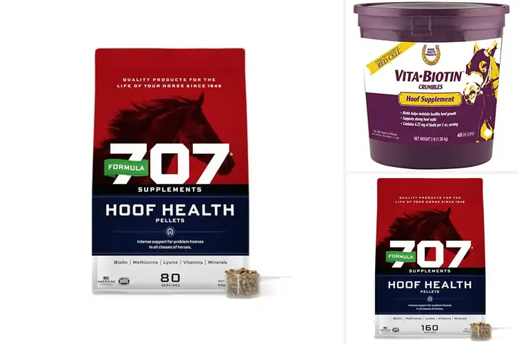 Detailed view of Best Equine Hoof Health Supplements