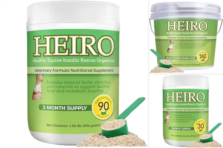 Detailed view of Best Equine Nutritional Supplements
