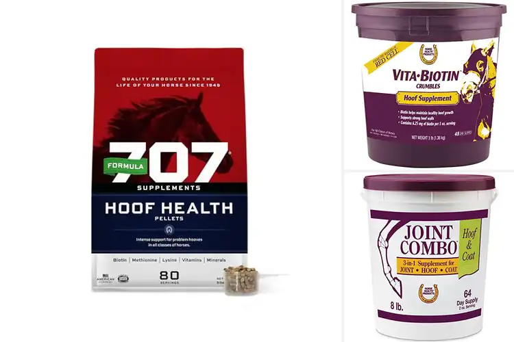Detailed view of Best Equine Supplements for Hoof Health