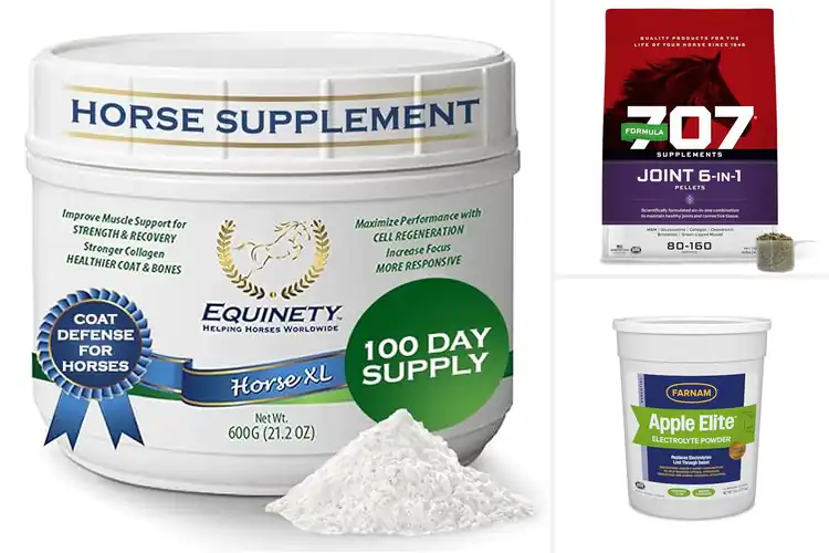 Detailed view of Best Equine Supplements