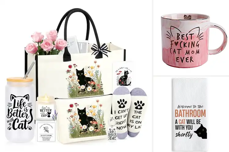Detailed view of Best Family Gift Cat Theme