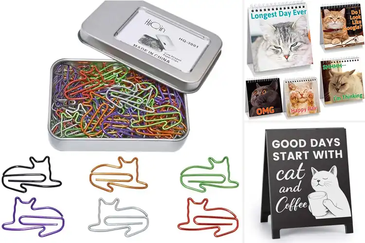 Detailed view of Best Feline Lover Accessories