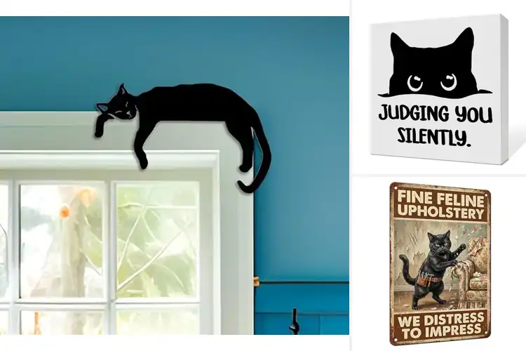 Detailed view of Best Feline Room Decorations