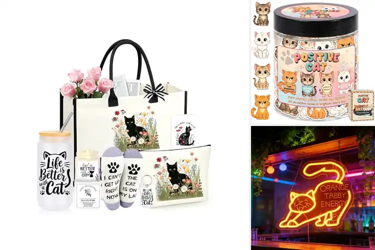 Detailed view of Best Feline Themed Gifts to Delight Every Cat Lover’s Heart