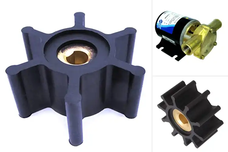 Detailed view of Best Flexible Pump Impellers