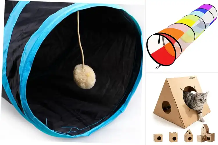 Detailed view of Best Foldable Tunnel Systems: Top 10 Picks for Kids & Pets