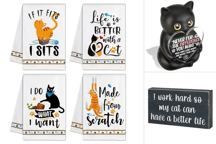 Detailed view of Best Friends Cat Decor Gift