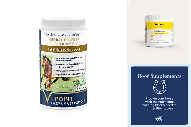 Detailed view of Best GMO Free Hoof Care Supplements