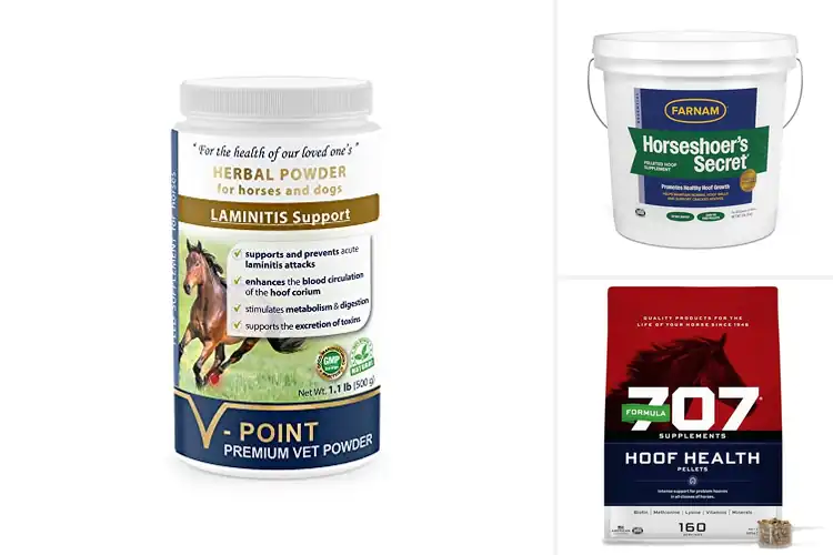 Detailed view of Best Grain Free Hoof Supplements For Horses