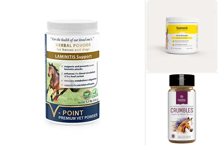 Detailed view of Best Grain Free Hoof Supplements