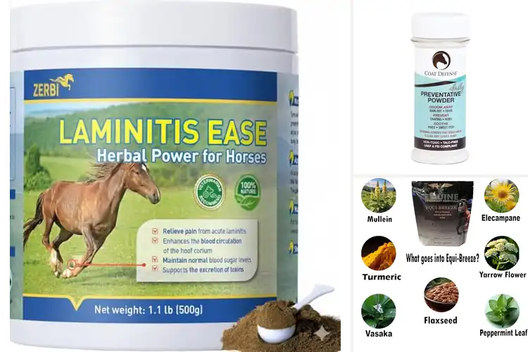 Detailed view of Best Herbal Horse Powders: Boost Health & Happiness