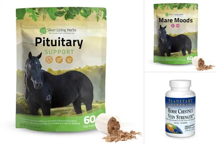 Detailed view of Best Herbal Horse Supplements