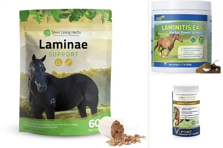 Detailed view of Best Herbal Supplements for Horse Hooves