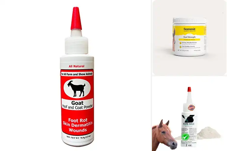 Detailed view of Best Hoof Conditioning Powders