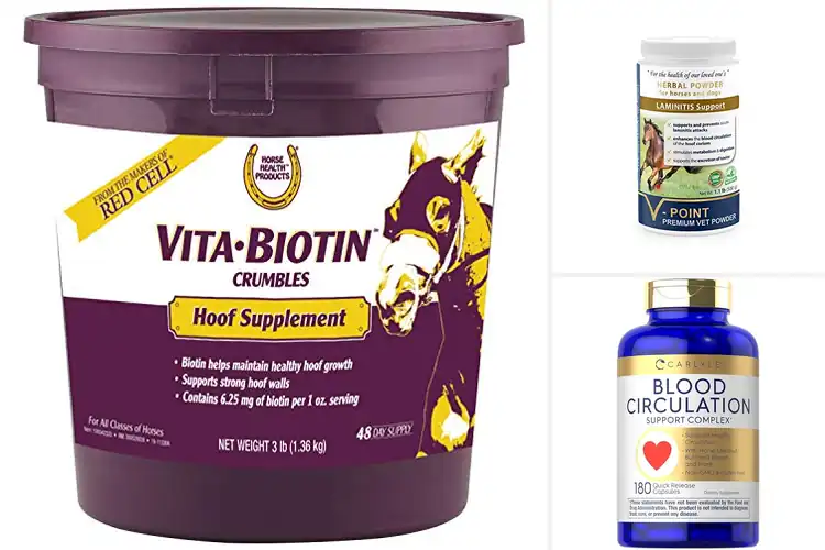 Detailed view of Best Hoof Corium Circulation Support Supplements