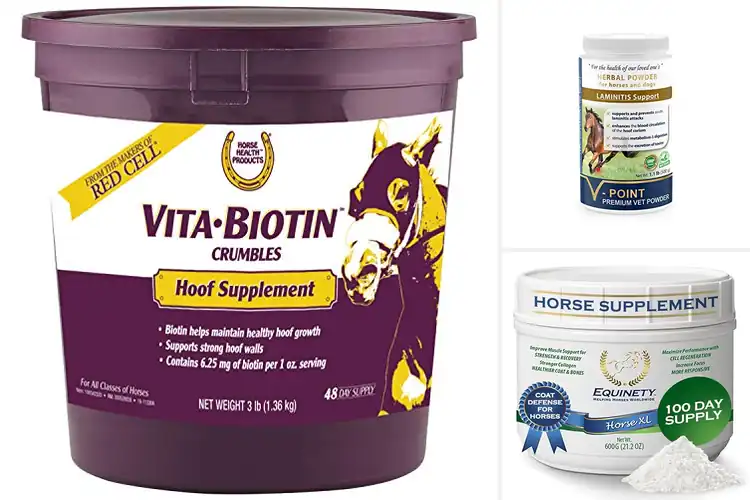 Detailed view of Best Hoof Corium Support Supplements For Horses
