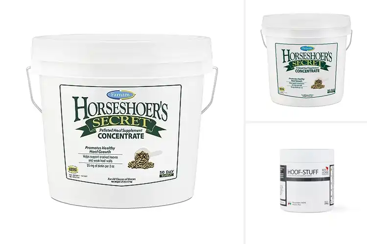 Detailed view of Best Hoof First Aid Kit Supplement For Horses