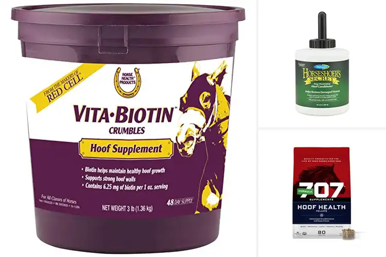Detailed view of Best Hoof Health Conditioning Supplements