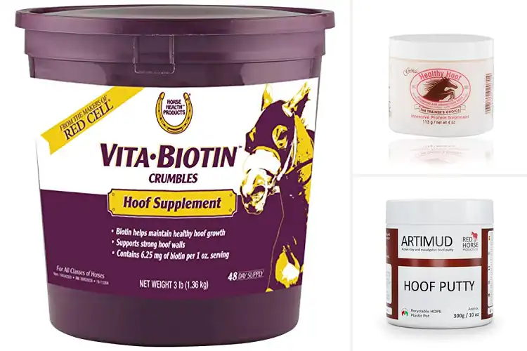 Detailed view of Best Hoof Health Products