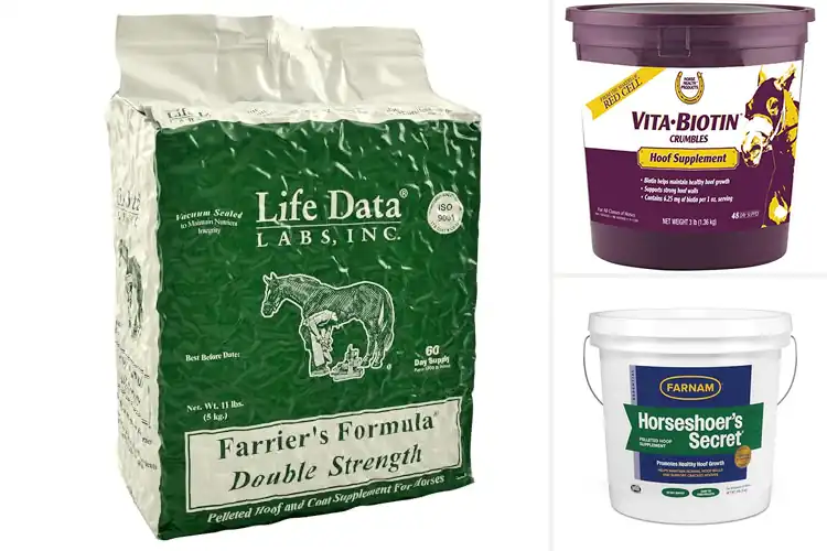 Detailed view of Best Hoof Supplements for Horses