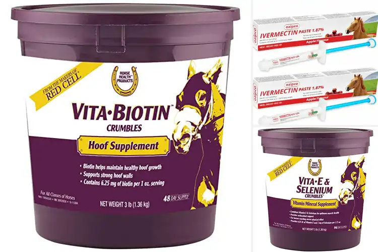 Detailed view of Best Horse Health Products