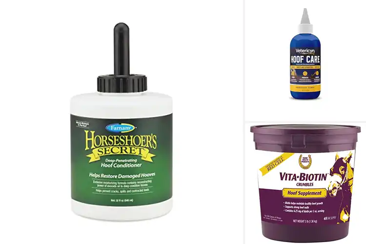Detailed view of Best Horse Hoof Care