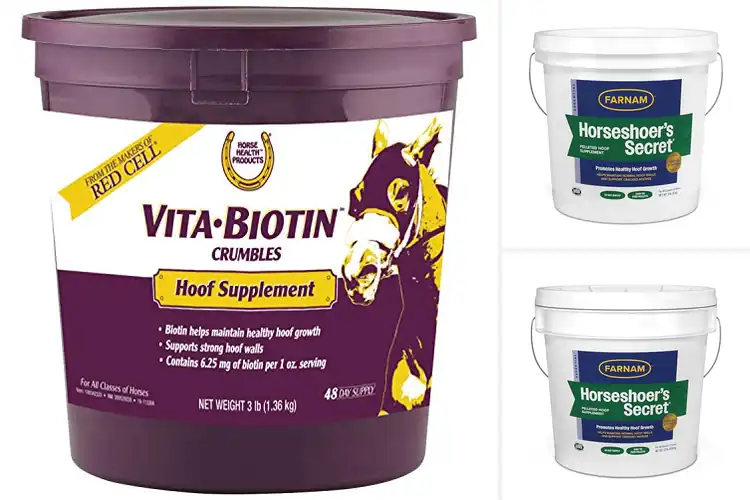 Detailed view of Best Horse Hoof Care Supplements