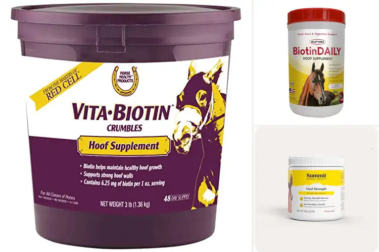 Detailed view of Best Horse Hoof Health Conditioning Supplements