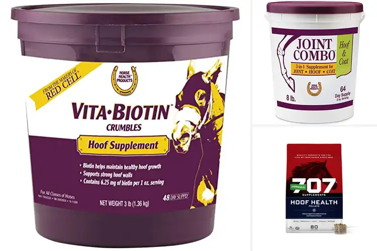 Detailed view of Best Horse Hoof Health Supplements