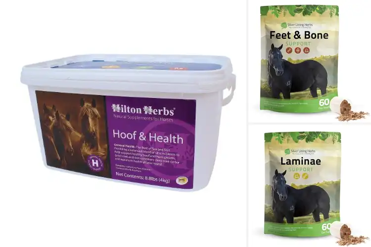 Detailed view of Best Horse Hoof Health Supplements With Natural Herbs