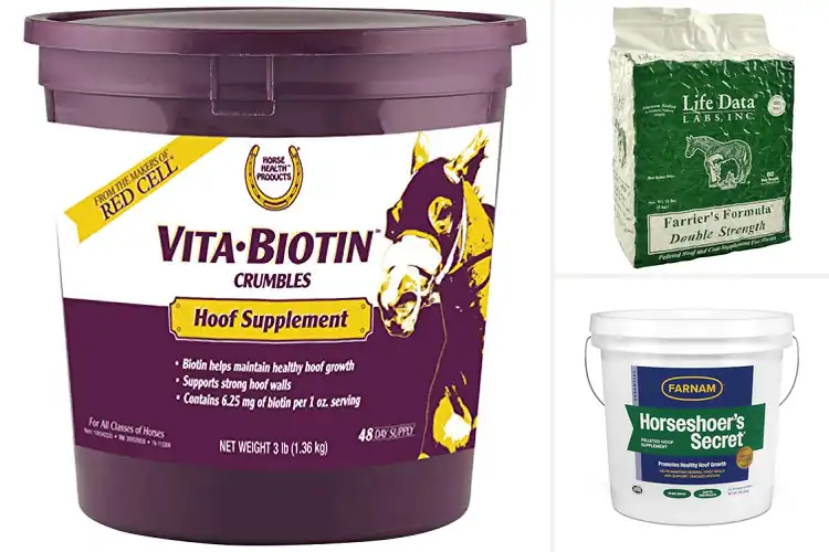 Detailed view of Best Horse Hoof Supplements